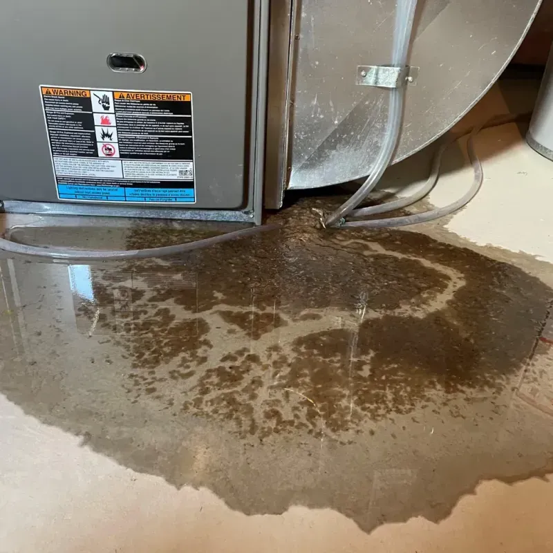 Appliance Leak Cleanup in Brighton Park, IL